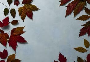 red autumn leaves flat lay with copy space in white background ai generated photo