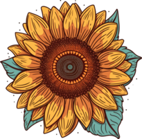 Sunflower Illustration, Sunflower AI Generative png