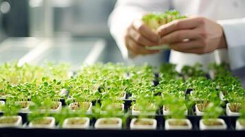 Scientist observing optimized cress sprouts in greenhouse. Quality control for superior growth. Greenhouse cultivation, agriculture, and research concept. AI Generated photo