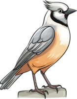 Gray Jay illustration, Animal Illustration AI Generative png