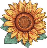 girasol ilustración, girasol ai generativo png