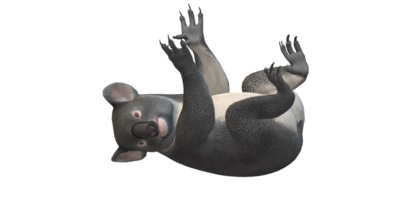 Koala Bär isoliert auf ein transparent Hintergrund png