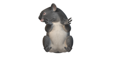 koala ours isolé sur une transparent Contexte png