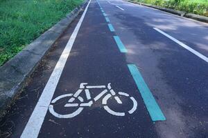 Bike path on the road photo