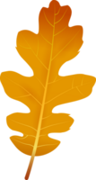 schön Herbst Blatt, png Datei Nein Hintergrund