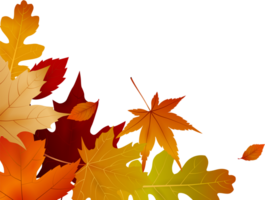 Autumn leaves, corner border design background decoration png