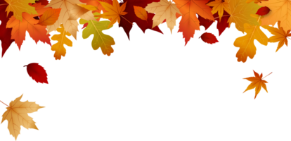 Autumn leaf background decoration border design, png file no background