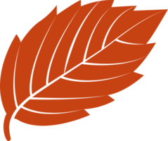 Autumn leaf flat design, png file no background