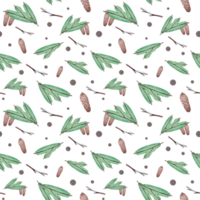 Seamless pattern with fir branches and pine cones, hand drawn in watercolor. png