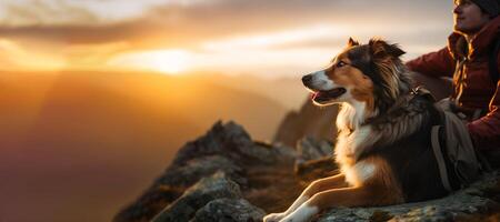 Hiking with the Dog, a Young Man and His Active Border Collie Dog Sitting on Cliff Rock to Take a View of Sunrise after long Trail Trekking in the Mountain Peaks. Activities with Pet. photo