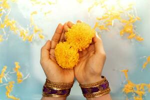 Hindu Ceremonies, Rituals, Spirituality, Religion and Hope Concept. Woman Holdings Marigold Flowers in Water , Respect and Surrender. Garlands are offered to Honor Gods and Goddesses photo