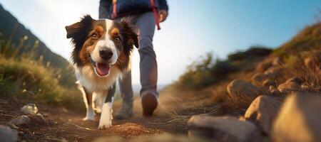 excursionismo con el perro, un joven hombre y su activo frontera collie perro trekking en montaña valle. ocupaciones con mascota. bajo ángulo vista. ai generativo foto