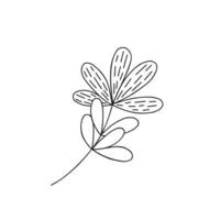 Outline plant decorative branch with leaves for home decor, Thanksgiving, autumn festive holiday vector illustration for seasonal greeting card, invitation, banner