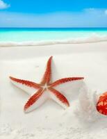 red starfish, on white sand with beach sea background illustration photo