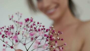 rosado flores de Gypsophila de cerca en el mujer manos. primavera, despertar de naturaleza concepto. belleza y sensibilidad concepto. lento movimiento video. video