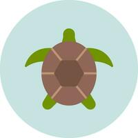 Turtle Vector Icon