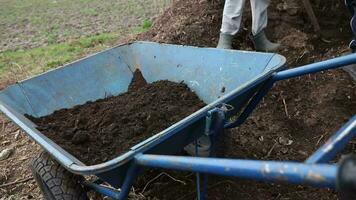 a farmer is moving soil into the wheelbarrow video