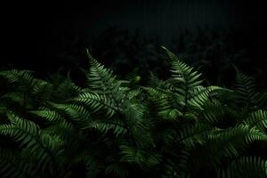 Fern leaves on a dark background. AI-Generated photo