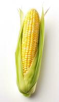 Photo of fresh corn on the cob isolated on a white background. AI generated