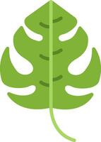 Monstera Vector Icon