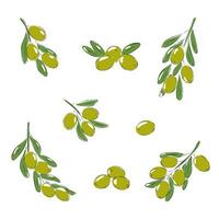 Charcoal olives set, colored olives vector illustration