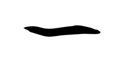 Silhouette of the fire eel, Mastacembelus erythrotaenia, is a relatively large species of spiny eel, can use for art Illustration, logo type, pictogram, website, or graphic design element. Vector