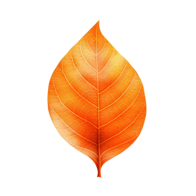Orange Leaf PNGs for Free Download