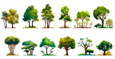 Set of various trees on white - AI generated image photo