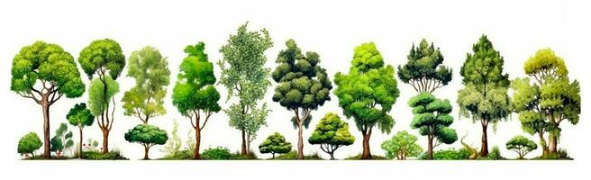 Set of various trees on white - AI generated image photo