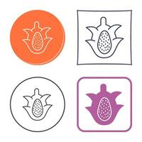 Dragon Fruit Vector Icon