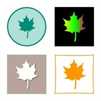 Autumn Leaf Vector Icon