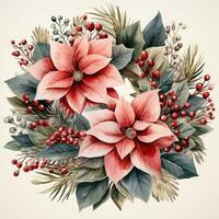 watercolor poinsettia christmas wreath flower isolated photo