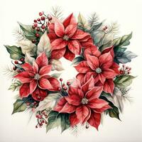 watercolor poinsettia christmas wreath flower isolated photo