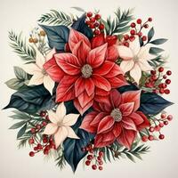 watercolor poinsettia christmas wreath flower isolated photo