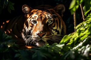 Majestic leopard Resting Under Jungle Tree AI Generative photo