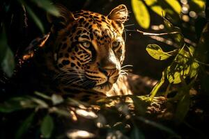 Majestic leopard Resting Under Jungle Tree AI Generative photo