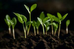 young plants sprouting from the soil. AI-Generated photo