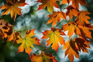 autumn leaves, autumn, autumn leaves, autumn leaves, autumn leaves, autumn leaves, autumn. AI-Generated photo