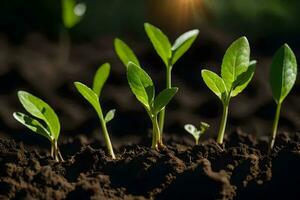 young plants sprouting from the soil. AI-Generated photo