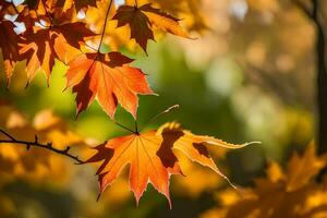 otoño hojas son mostrado en el luz de sol. generado por ai foto