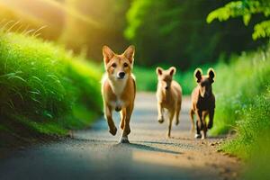 Tres perros corriendo abajo un camino en el Dom. generado por ai foto