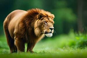 un león es caminando en el césped. generado por ai foto