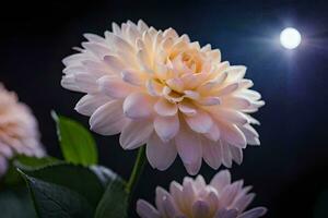 a dahlia flower is seen in the dark with the moon in the background. AI-Generated photo