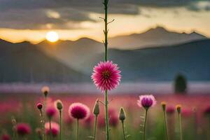 pink flowers in a field at sunset. AI-Generated photo