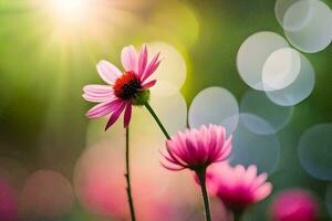 pink flowers in the sun with bokeh. AI-Generated photo