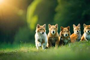 five puppies are standing in the grass. AI-Generated photo