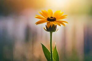 a single yellow flower in the sun. AI-Generated photo