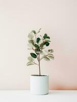 Plant in a pot on white background AI Generative photo