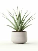 Plant in a pot on white background AI Generative photo