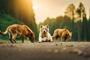 photo wallpaper dogs, the road, the forest, the sun, the forest, the dogs,. AI-Generated